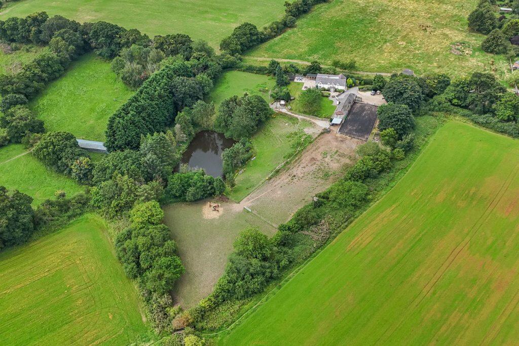 Additional image 13 of The Vownog Sychdyn, Mold