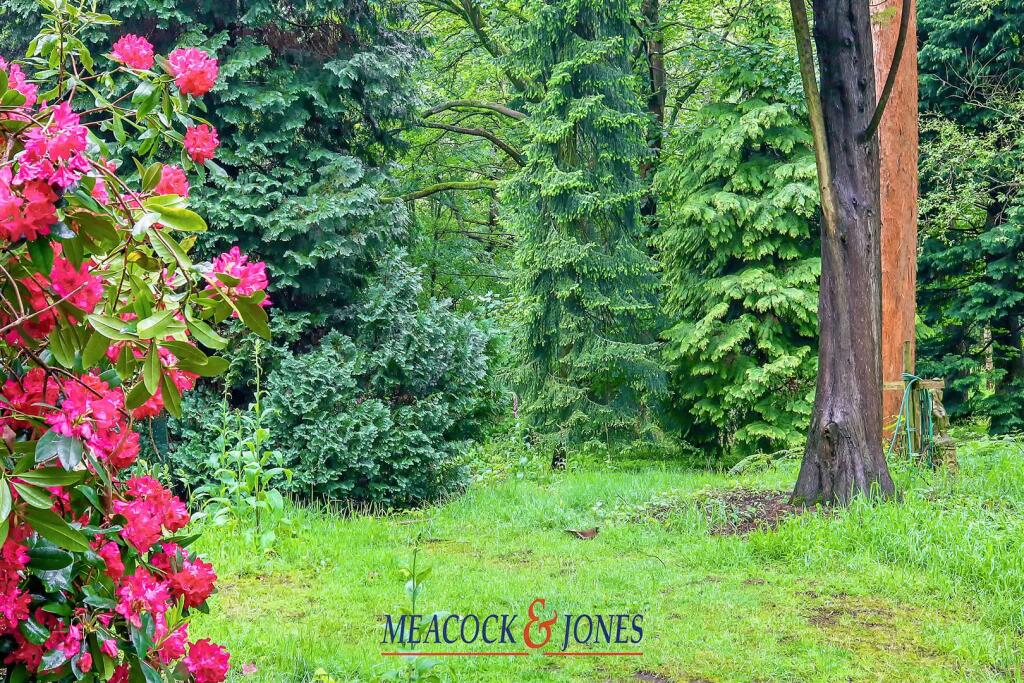 Additional image 37 of Mores Lane, Pilgrims Hatch, Brentwood