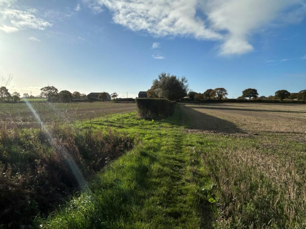 Additional image 25 of THE STREET, KIRBY-LE-SOKEN
