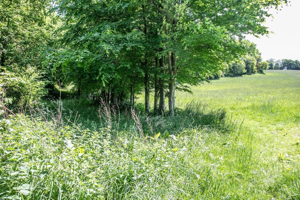 Additional image 4 of Church Lane, Warlingham, Surrey, CR6