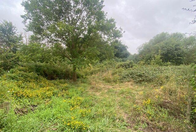 Additional image 4 of Land on South Side of Fieldway, Maldon Road, Bradwell-on-Sea, Essex, CM0 7HY