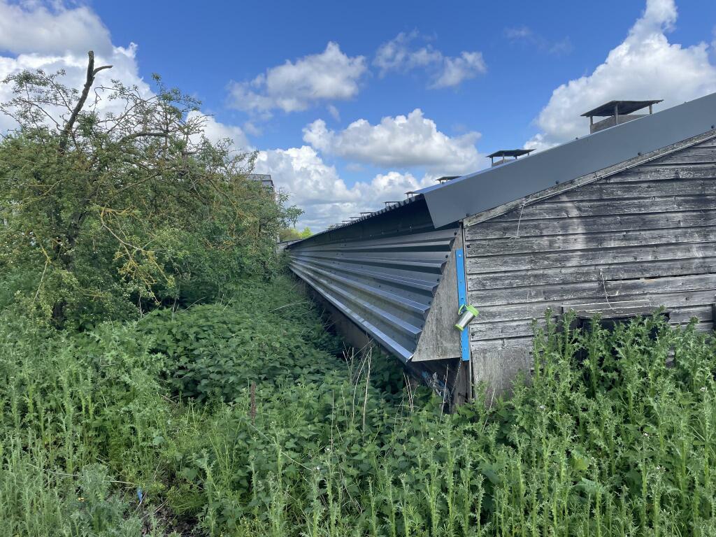 Additional image 7 of Witham