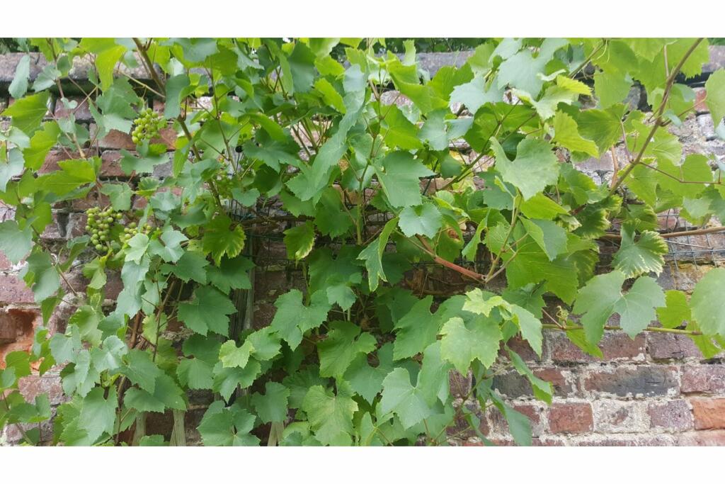 Additional image 45 of Downing Road, Whitford, CH8