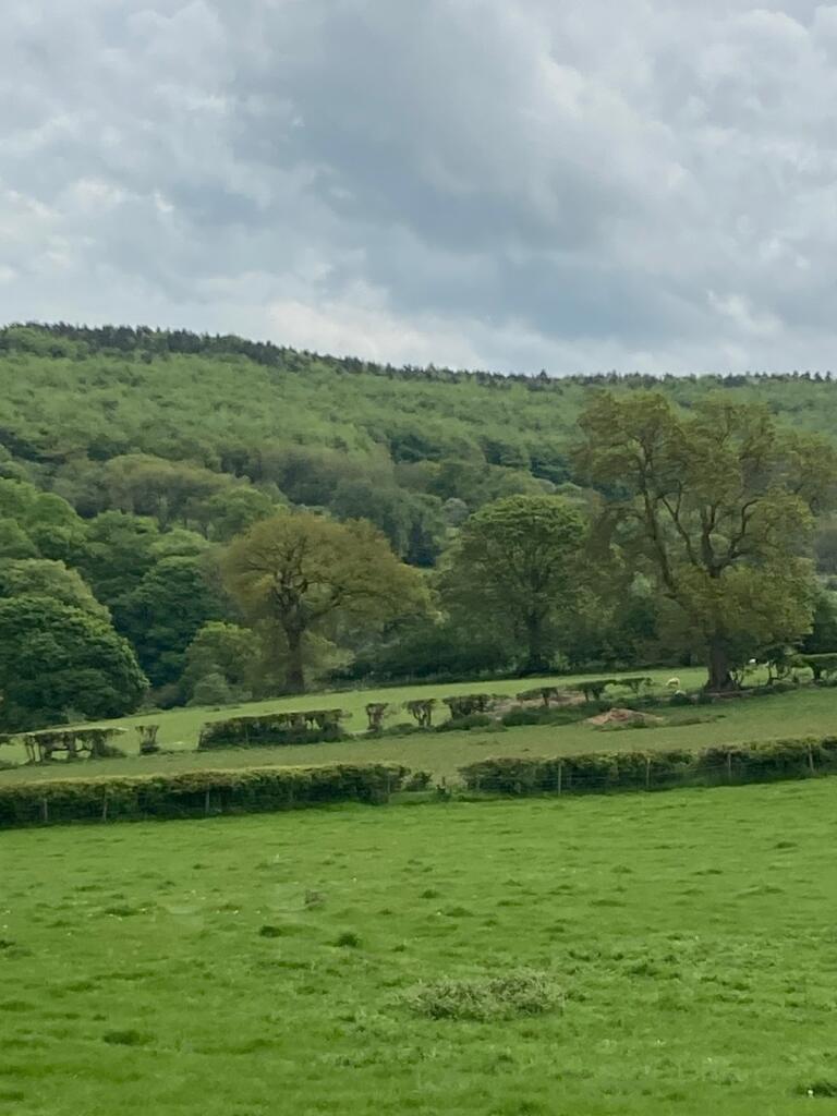 Additional image 9 of Maeshafn, Denbighshire, Wales