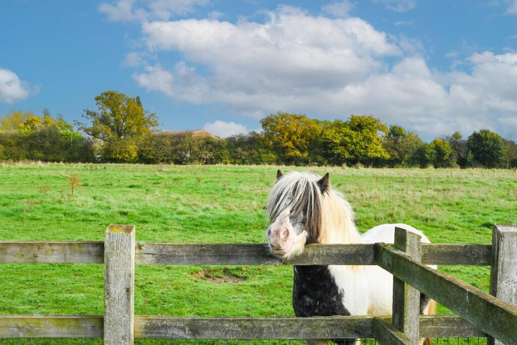 Additional image 32 of The Vale, Stock, CM4