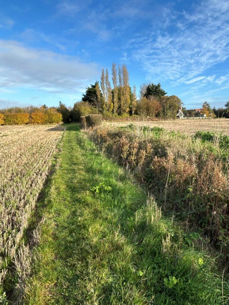 Additional image 23 of THE STREET, KIRBY-LE-SOKEN