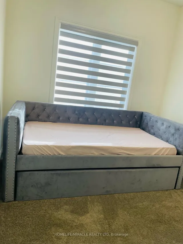 Additional image 26 of 11 Truffle Crt