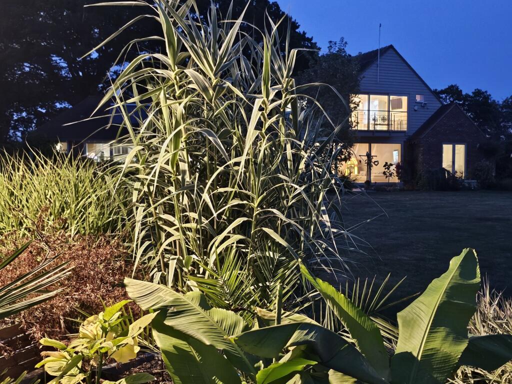 Additional image 40 of Birchwood Road, Cock Clarks, CM3