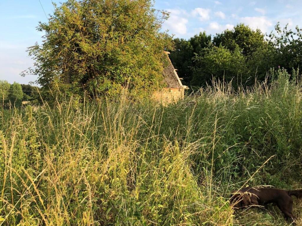 Additional image 17 of Land at rear of Barretts Hall, Great Maplestead, Braintree, Essex, CO9