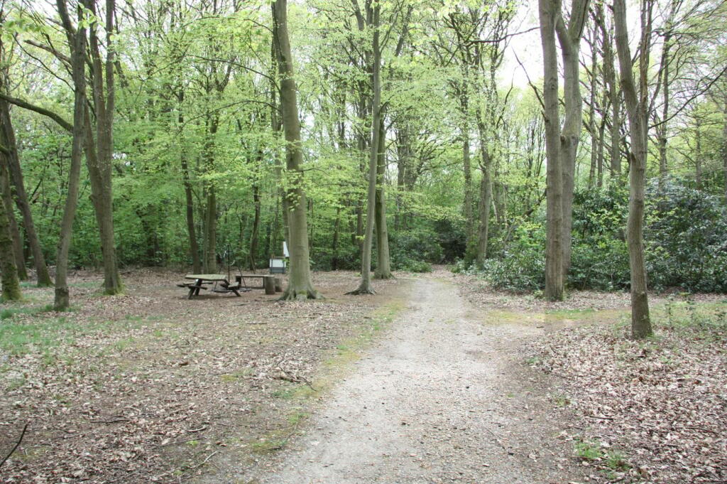 Additional image 23 of Thorndon Park, Ingrave, Brentwood, CM13