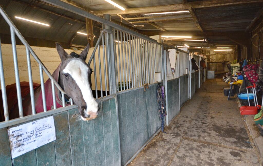 Additional image 27 of Cae Hic Livery & Riding Centre, Ffordd Y Blaenau, Treuddyn, Mold, Flintshire