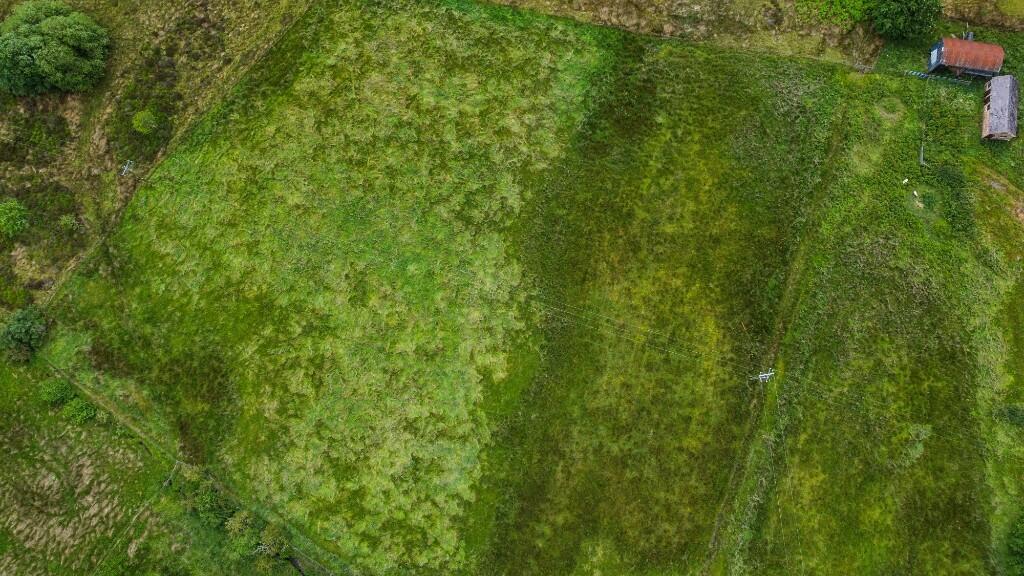 Additional image 2 of LOT 2 3.8 ACRES & BUILDINGS AT TY GRUG, CORWEN ROAD,  RHYDTALOG, CH7 4NU
