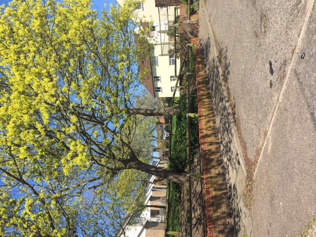 Additional image 3 of Titania Close, Colchester, Essex, CO4