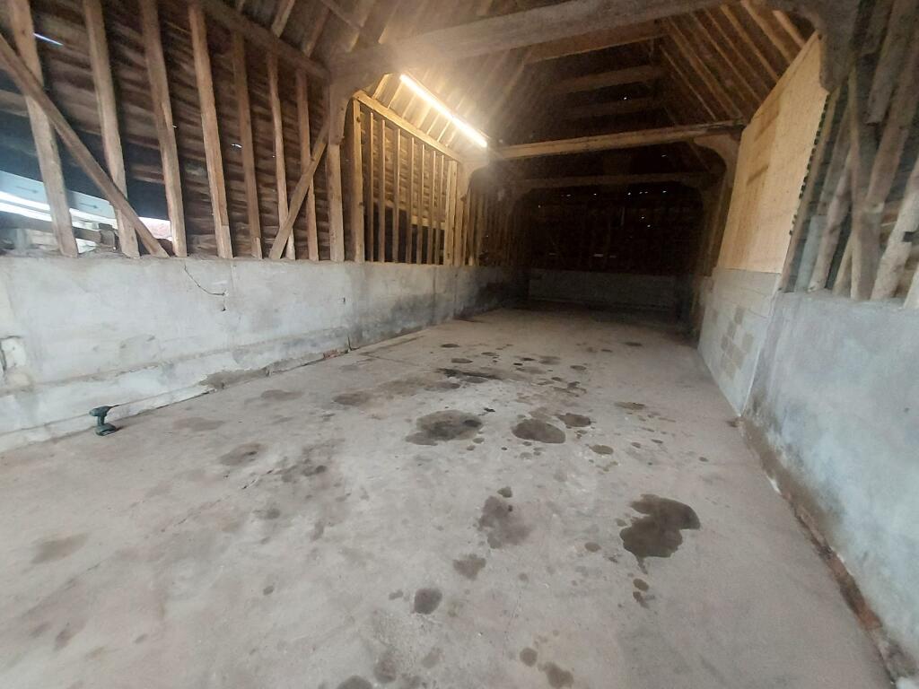 Additional image 5 of Little Oakley