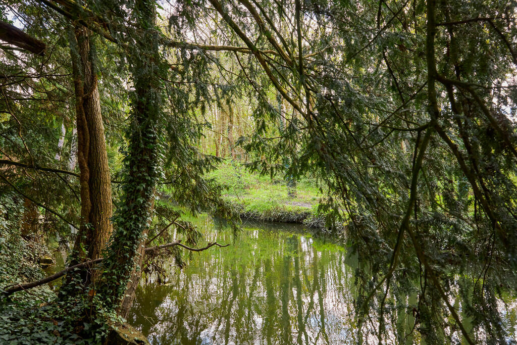 Additional image 34 of Clare, Sudbury, Suffolk