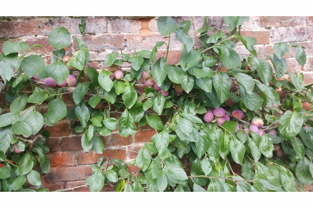 Additional image 46 of Downing Road, Whitford, CH8