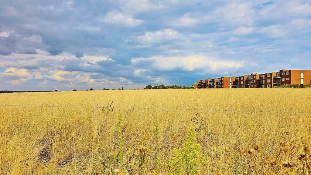 Additional image 21 of Louise Close, Walton On The Naze
