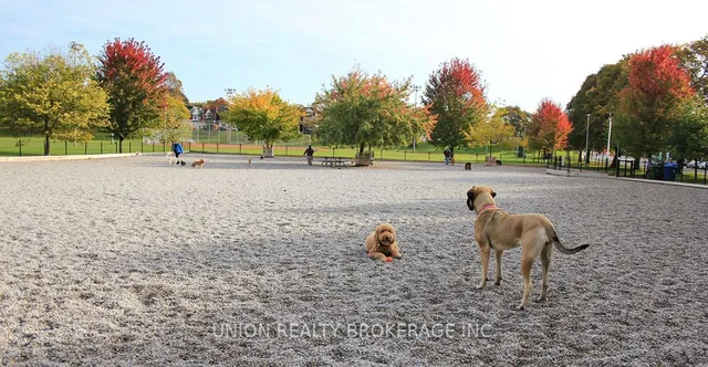 Additional image 38 of 47 Woodfield Rd