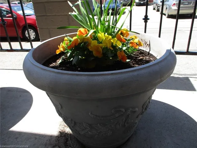 Additional image 19 of 55 Green Valley Dr Unit 1708