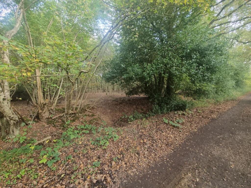 Additional image 7 of Land Lying to the East of, Goatsmoor Lane, Ingatestone, Essex, CM4 9RS