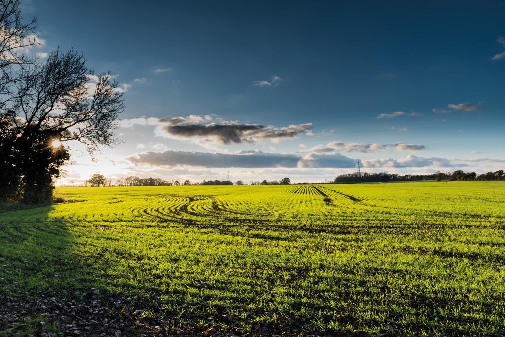 Additional image 12 of St James' Park off St James' Way
Whittington Way
Bishop's Stortford,
CM23 4AS