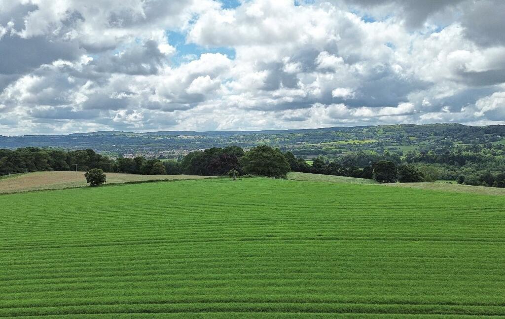 Additional image 2 of Gwysaney, Mold