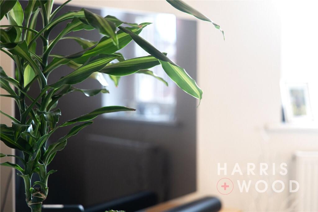 Additional image 7 of Sergeant Street, Colchester, Essex, CO2