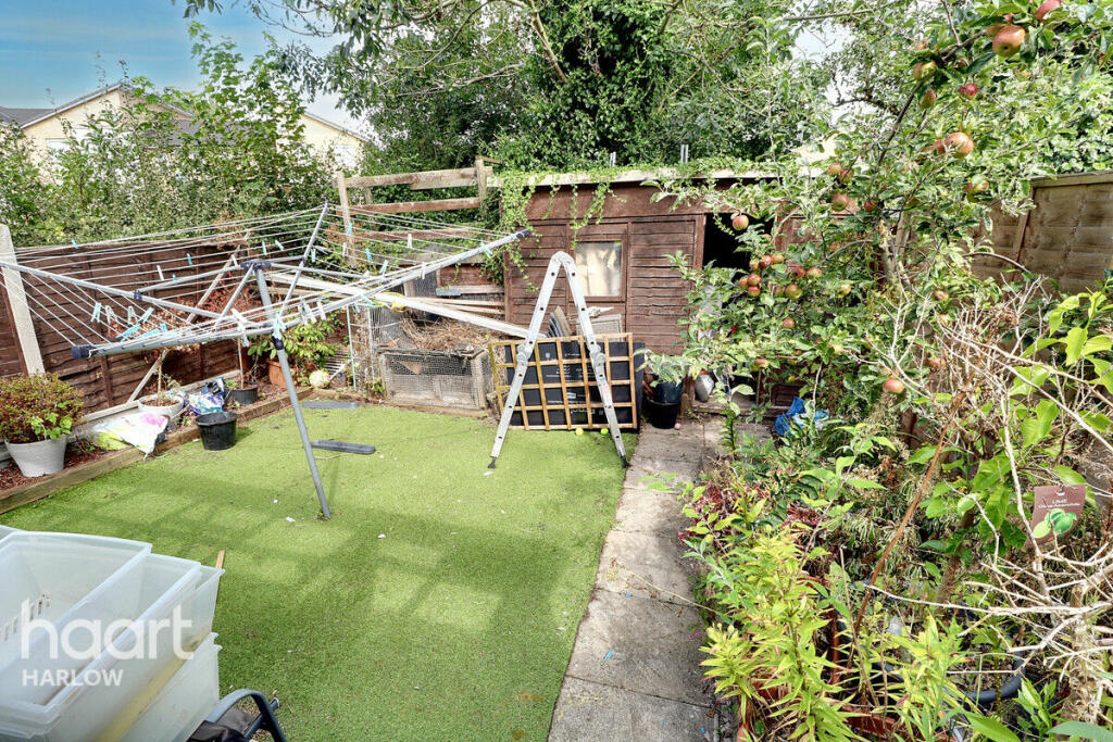 Additional image 11 of The Dashes, Harlow