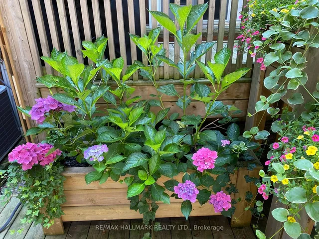 Additional image 27 of 1000 Dundas St Unit 9