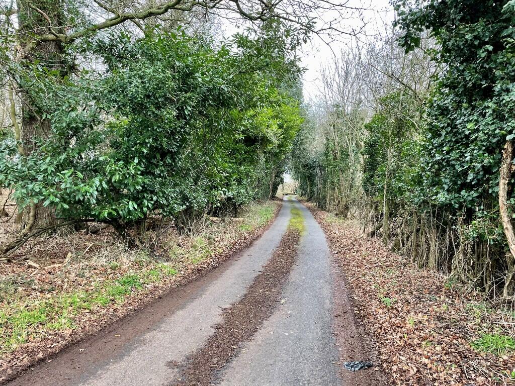 Additional image 21 of Howe Chase, Halstead, Essex, CO9