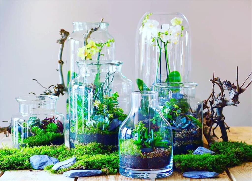 Additional image 22 of A PROVIDER OF AESTHETIC FLORAL AND PLANT ARRANGEMENTS, Essex