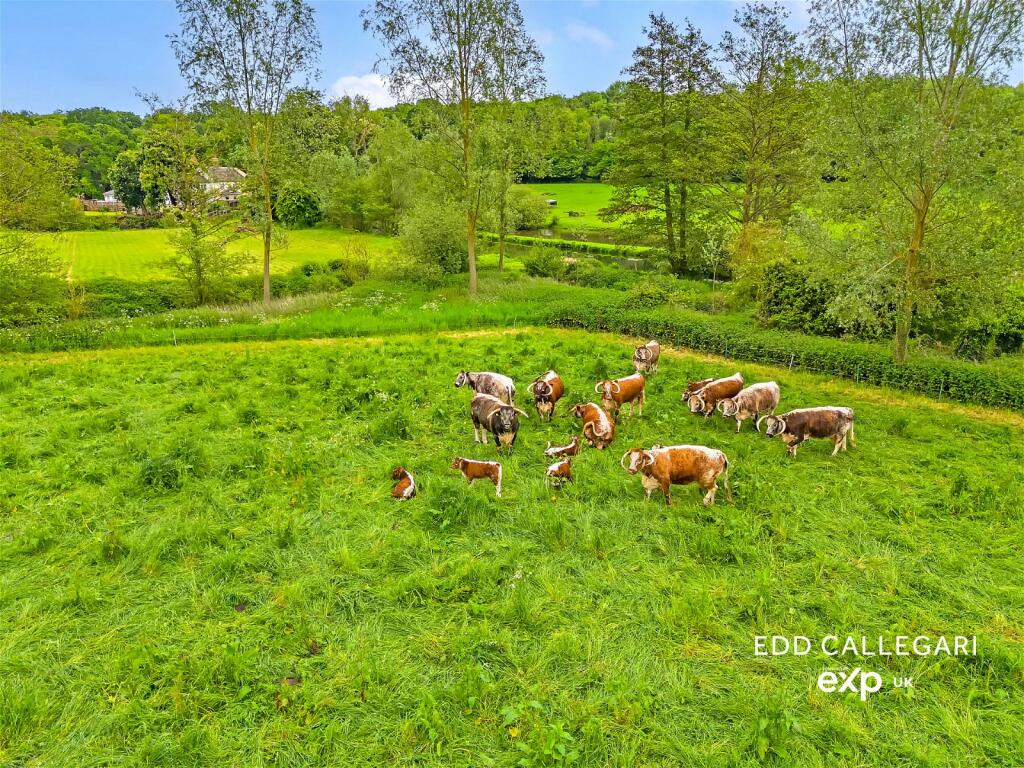 Additional image 28 of Chalkney Mill, Earls Colne, Colchester, CO6 2PR