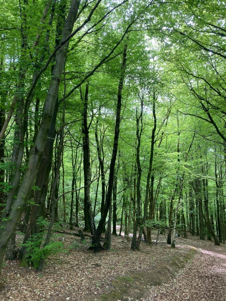 Additional image 11 of Maeshafn, Denbighshire, Wales