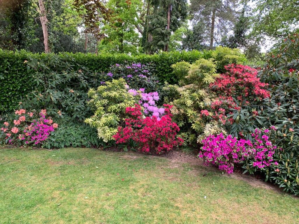 Additional image 29 of How Lane, Chipstead