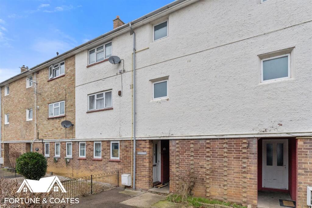 Additional image 6 of The Dashes, Harlow