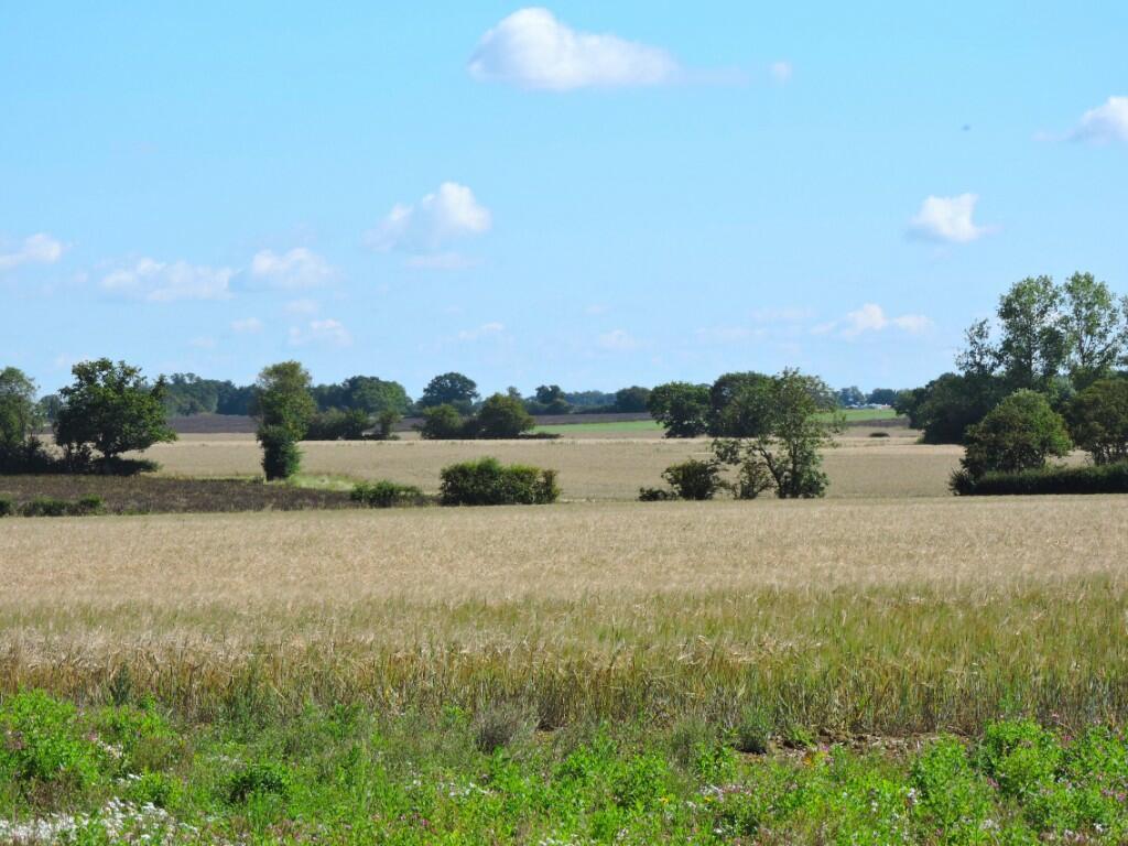 Additional image 4 of Follyfield Gardens, Stebbing