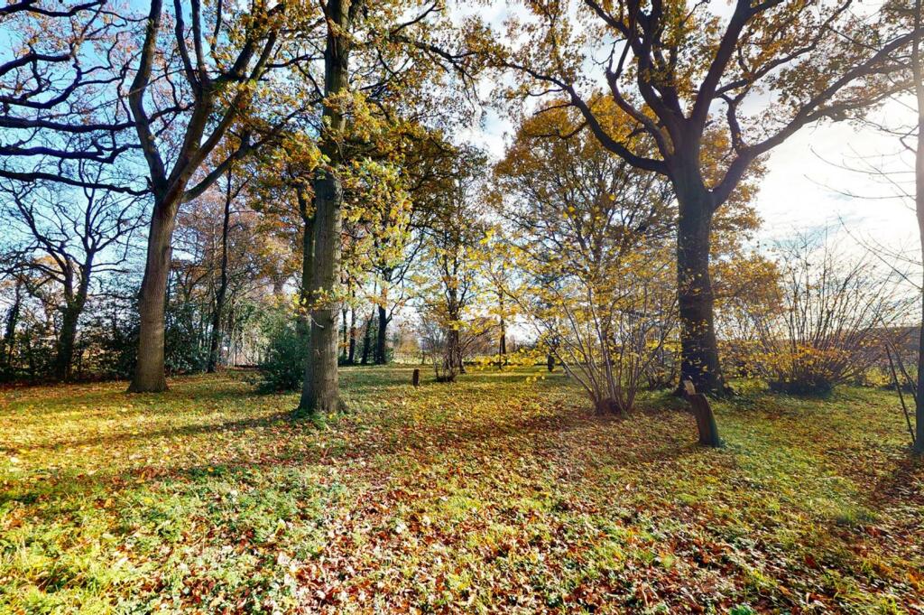 Additional image 17 of Church End, Shalford
