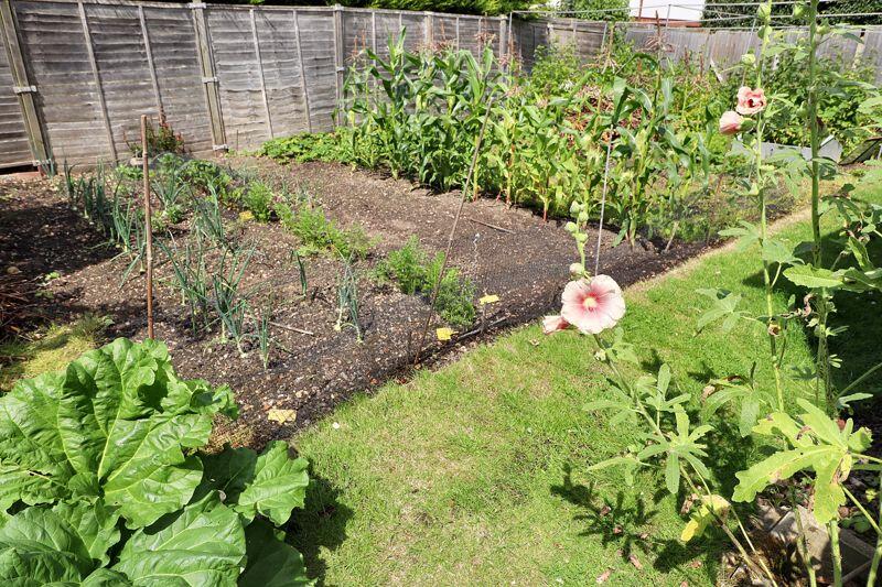 Additional image 30 of Thorrington Road, Great Bentley, CO7