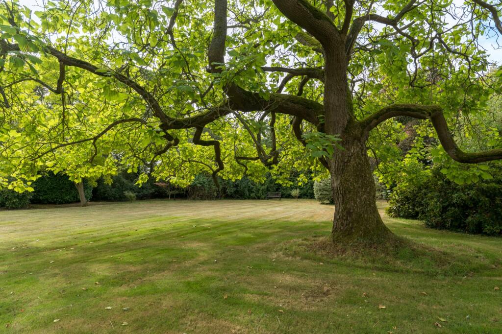 Additional image 35 of Plummers Road, Fordham, Colchester, Essex, CO6