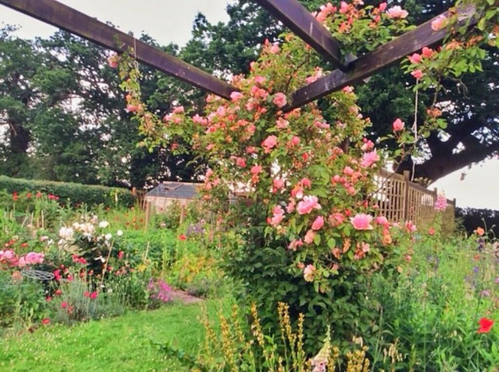 Additional image 20 of Wix Road, Great Oakley