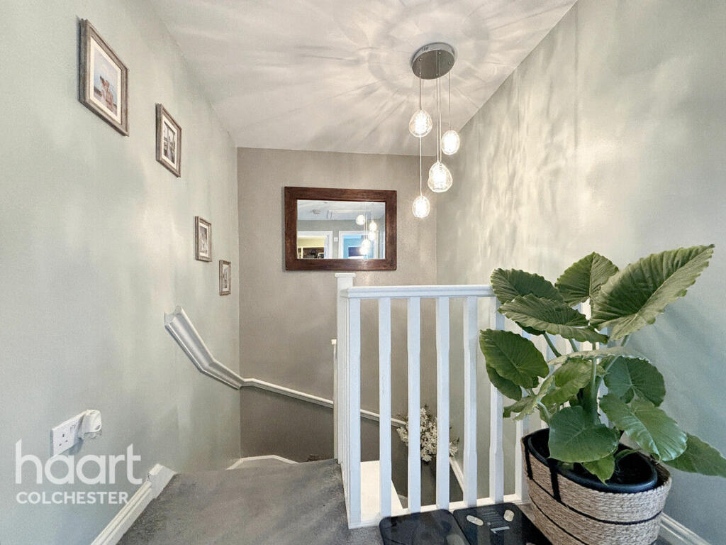 Additional image 10 of Ostrich Street, Colchester