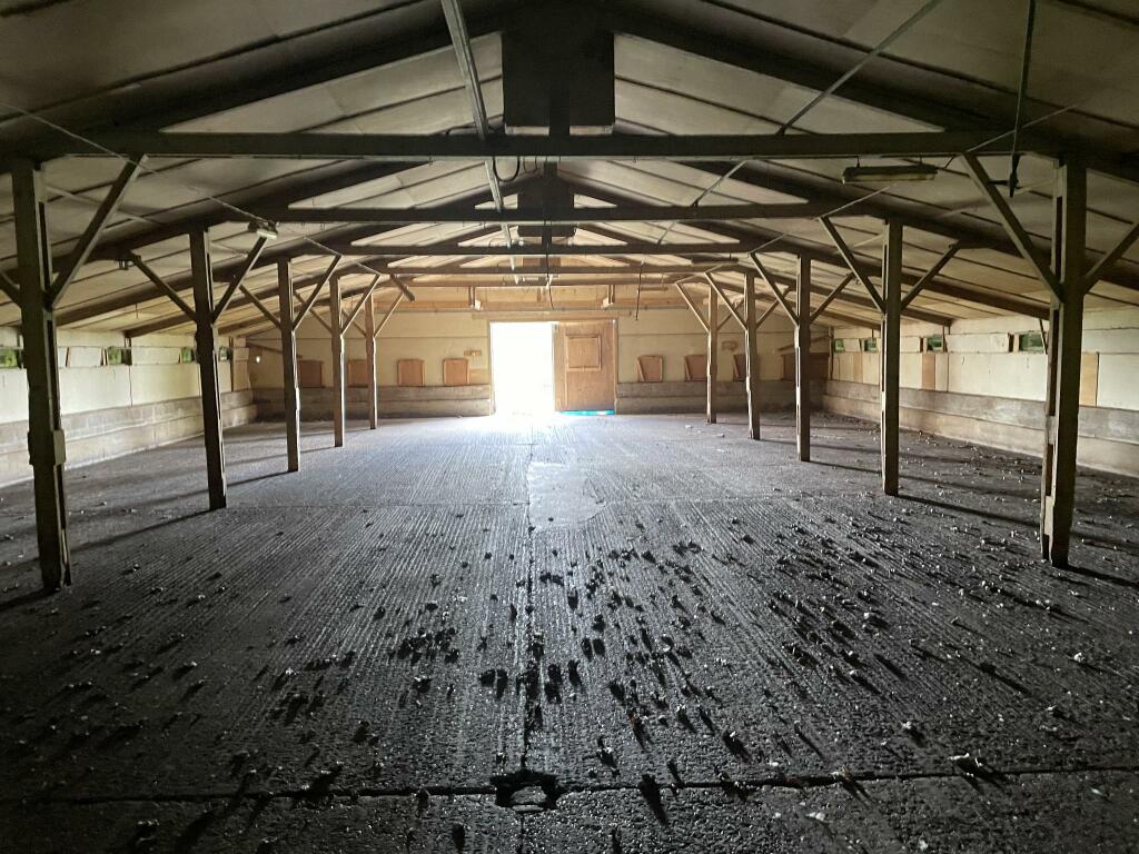 Additional image 4 of Witham