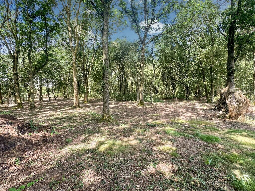 Additional image 32 of Moor Road, Langham