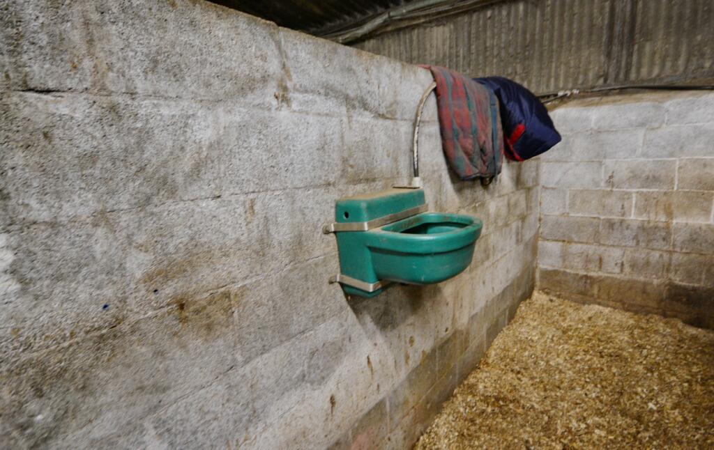 Additional image 28 of Cae Hic Livery & Riding Centre, Ffordd Y Blaenau, Treuddyn, Mold, Flintshire