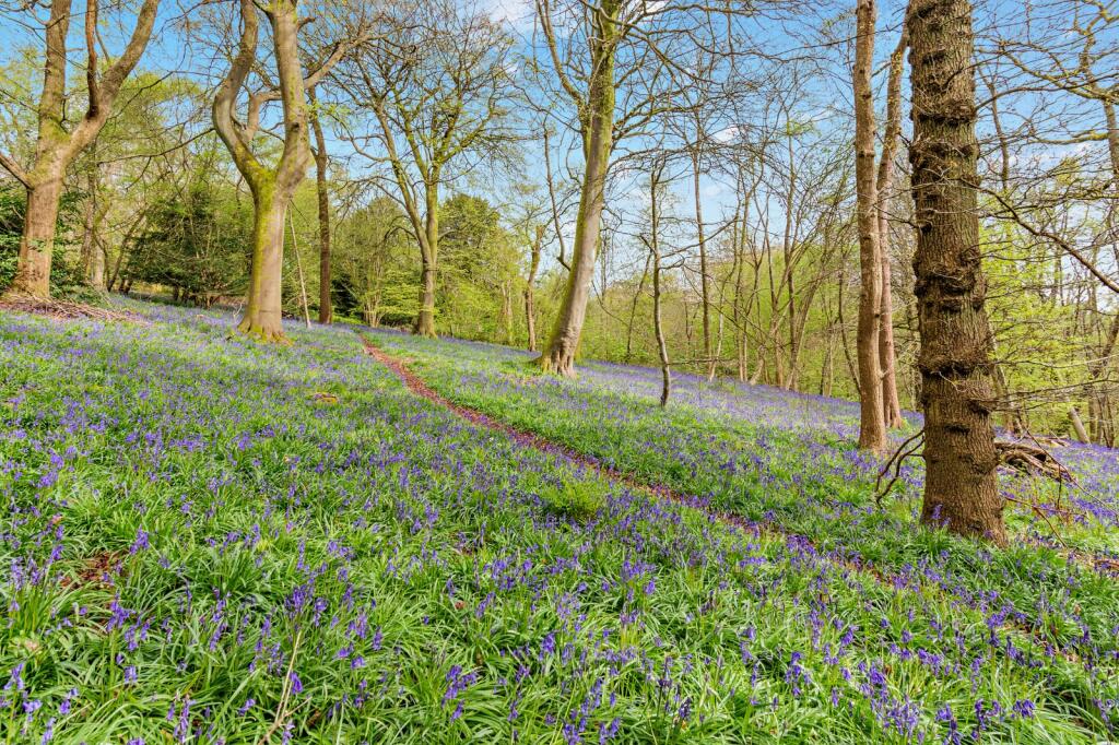 Additional image 35 of Tupwood Lane, Caterham, Surrey