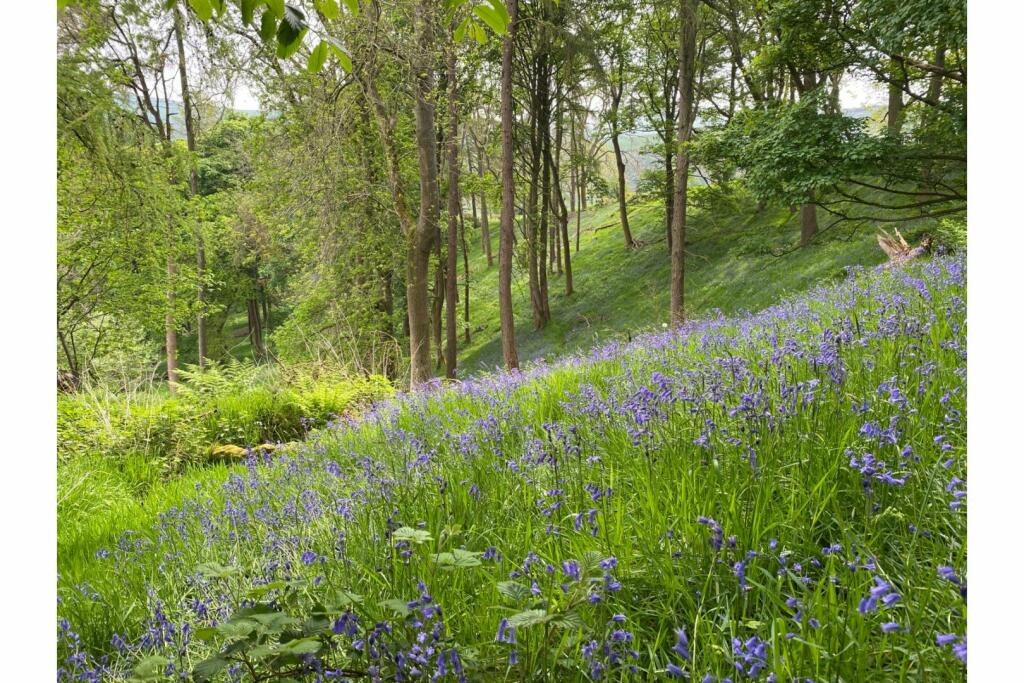 Additional image 19 of Trefechan Road, Mold, CH7