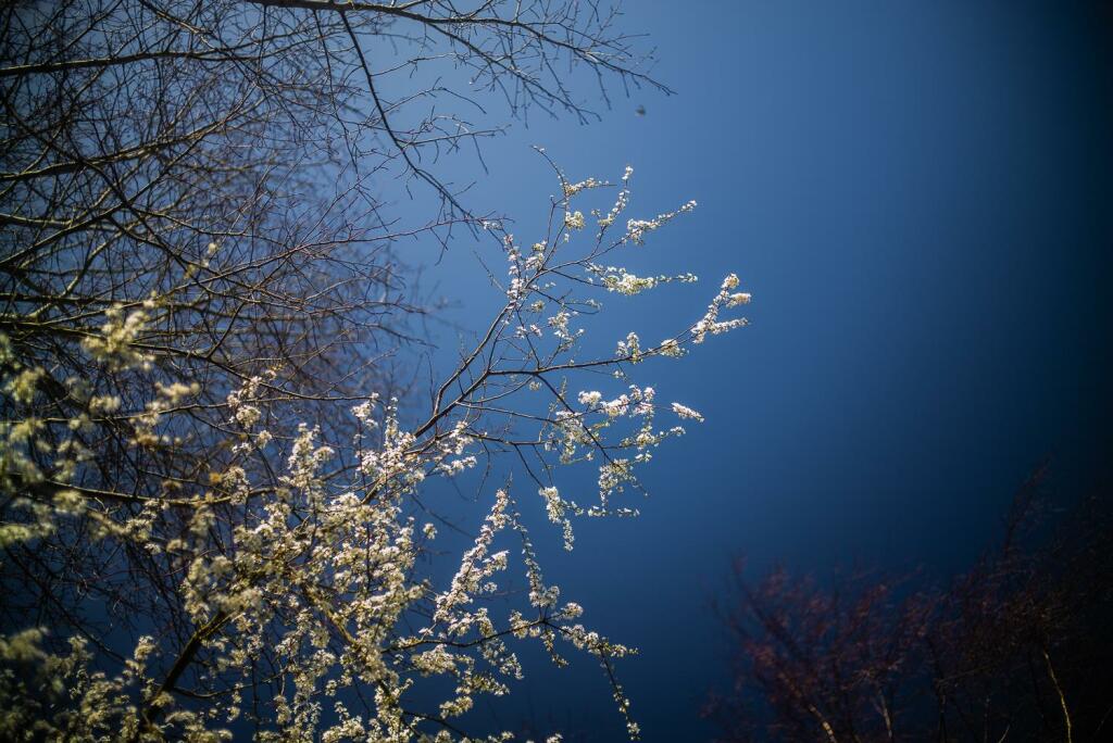 Additional image 4 of Plot 43, Sudbury Fields, Sudbury