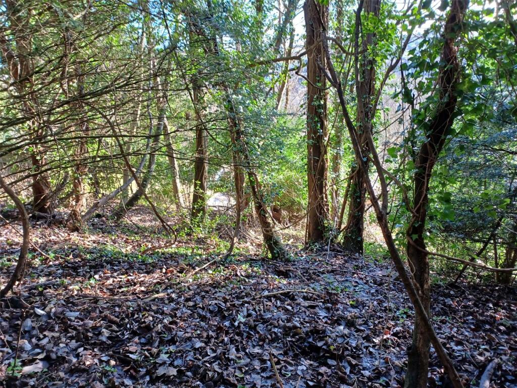 Additional image 21 of Milner Road, Caterham, Surrey, CR3