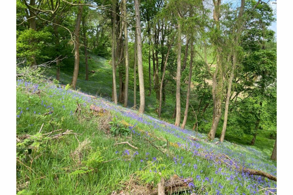 Additional image 22 of Trefechan Road, Mold, CH7