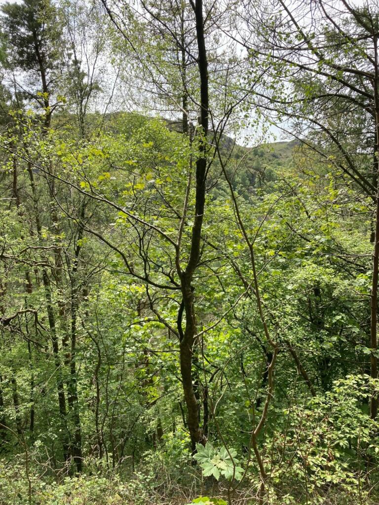 Additional image 5 of Maeshafn, Denbighshire, Wales